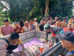 Karena Batas Tanah, Seorang Pria di Konawe Tega Aniaya Kakak Kandung Hingga Tewas