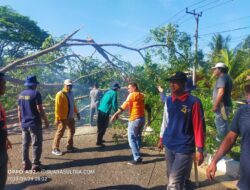 Wakil Ketua DPRD Apresiasi Langkah Pemda Pangkas Pohon di Jalan Poros Kendari – Unaaha