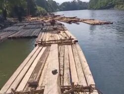 Puluhan Kubik Kayu Olahan Ilegal Disita oleh Polres Konawe