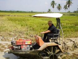 Bupati Koltim Turut Serta dalam Syukuran Pasca Panen di Desa Tetembuta