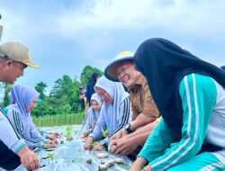 Tekan Laju Inflasi, Penjabat Bupati Konawe Tanam Cabai Serentak