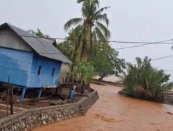 Pro Kontra Dugaan Pencemaran Lingkungan oleh PT Tambang Bumi Sulawesi