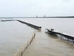 Kasus Pagar Laut Tangerang Mulai Terungkap, Agung Sedayu Grup Mengkonfirmasi