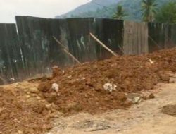 PT Radhika Group Diduga Gasak Hutan Mangrove
