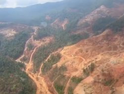 Aktivitas PT Pernick Disorot, Nambang Tanpa RKAB Hingga Hauling Gunakan Jalan Milik Pemerintah