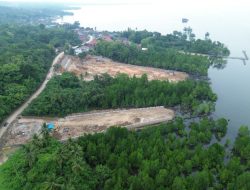 Tanpa Amdal, PT Radhika Group Bangun Depot BBM di Hutan Mangrove?