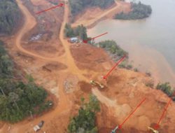 Masyarakat Adat Konawe Utara Menjerit, PT Pernick Tak Tersentuh