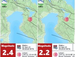 Gempa Bumi Guncang Konawe, Tidak Berpotensi Tsunami
