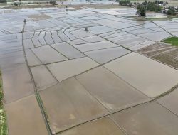 Hasil RDP Dilaksanakan, Polemik Petani Sawah dan BWS Berakhir