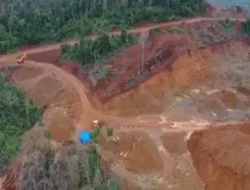 Pabrik Pengolahan Feronikel Tak Kunjung Dibangun di Routa, PT SCM Justru Produksi Besar-besaran