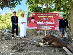Berkurban, PDI Perjuangan Konawe Hadirkan Berkah Idul Adha untuk Wong Cilik