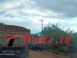 PT ST Nikel Diduga Langgar Aturan Hauling, Sopir: “Kalau Ikut Muatan 8 Ton, Kami Rugi”