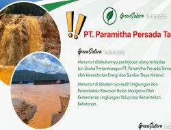 Aktivitas Tambang Nikel PT Paramitha Persada Tama Diduga Cemari Kawasan Konservasi di Konut