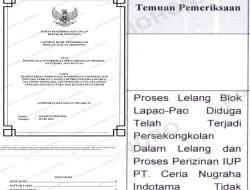 Temuan BPK Mandek, Dugaan Pelanggaran Lelang IUP PT Ceria di Kolaka Tak Tersentuh Hukum