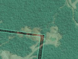 Terungkap Fakta: Nama Komisaris PT Tristaco Disebut dalam Skandal Tambang Mandiodo