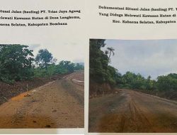 PT Tria Jaya Agung Dituding Rusak Hutan dan Serobot Lahan, Pemerintah Diminta Bertindak Tegas