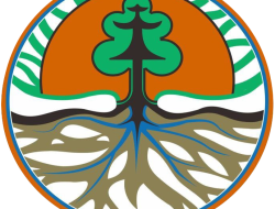 Pelanggaran di Kawasan Hutan Bombana, PT TMS Wajib Bayar Denda Administratif