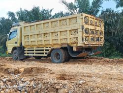 Pelanggaran Berulang PT ST Nickel Resources, Tim Terpadu Sultra Tak Berdaya?