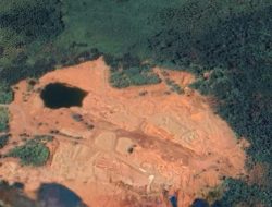 Satgas PKH Ungkap Denda Rp29,2 Triliun ke 22 Perusahaan Tambang Nikel Perambah Kawasan Hutan