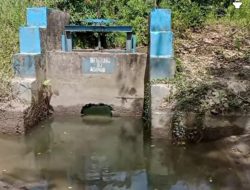 Bendung Rusak, Petani Asinua Konawe Harap Perhatian Pemerintah
