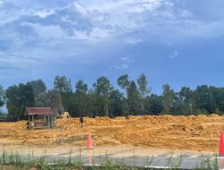 Dugaan Perusakan Mangrove oleh PT Artha Graha di Teluk Kendari Menuai Kecamatan