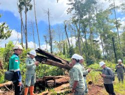 Kantongi Izin Resmi, PT Raihan Catur Putra Sesalkan Aksi Anarkis di Morowali
