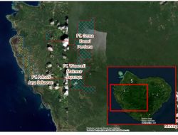 Dugaan Tambang Nikel di Pulau Wawonii Menguat, Pemkab Konkep Bantah Terbitkan PKKPR PT AJS
