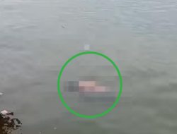 Warga Digegerkan Penemuan Mayat Tanpa Identitas Mengapung di Teluk Kendari