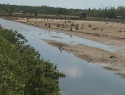 Di Balik Ancaman Hutan Rusak, Warga Kecil Merasa Terjepit di Taman Nasional Rawa Aopa Watumohai