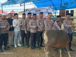 Idul Adha 1447 H, Polres Konawe Sembelih 14 Hewan Kurban, Dua Ekor Bantuan Kapolri