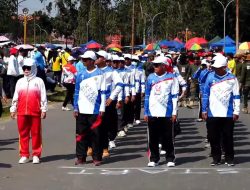Meriahkan HUT ke-81 RI di Konawe, 105 Barisan Ikut Gerak Jalan 17 Kilometer 